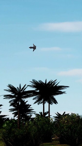 BROKEN SOUND BARRIER: A mysterious fighter jet is seen breaking multiple sound barriers.