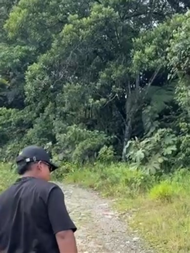 DAIMUZ Desarrollo · Automatización · Innovación · Monetización · Usabilidad · Zona Digital #DAIMUZ #programacion #automatizacion #shopyfy #software