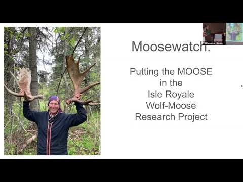 Tuesday Group -- Moosewatch: Putting the MOOSE in the Isle Royale Wolf-Moose Research Project