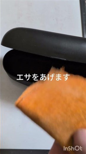 メガネケースのお手入れの注意点。餌やり。