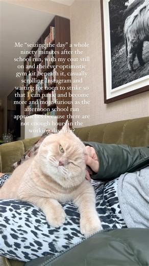 You? 🤓 | A Model Recommends