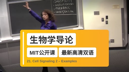 【MIT🔥最新高清双语】生物学导论 21. Cell Signaling 2 – Examples