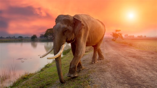 The TUI bucket list destination with sandy beaches & hotel floating breakfasts