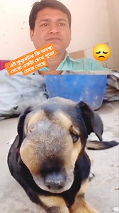 এই কুকুরটার কি অবস্থা দেখো একটা চোখ পুরো ঢেকে গেছে #Facebookreelsvideo | Dabu Pramanik