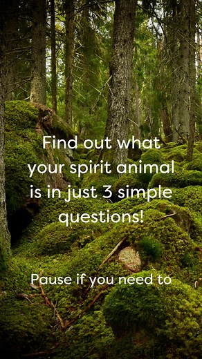 Have you ever wondered what your spirit animal is? Follow along with this short quiz to find out! #spiritanimal #animalquiz #spiritguidance | Psychic Today