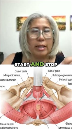 Stop Your Urine Stream to Master Kegels 🛑 #Health #Wellness