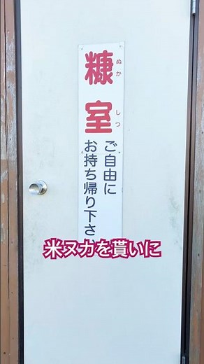 【腐葉土を作る】落ち葉と米ヌカで腐葉土を作る