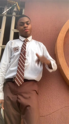 Overloaded: A Hilarious Struggle with Daily Life