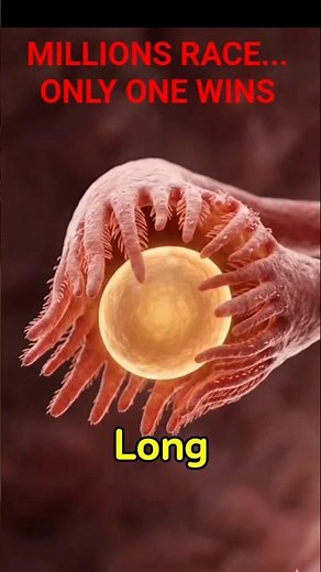 The Impossible Journey: How an Egg is 'Caught' by the Fallopian Tube.#shorts