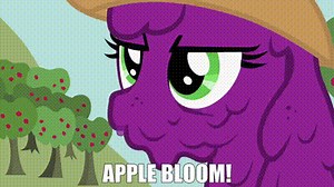 Apple Bloom!