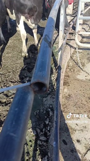 charlie jackson on TikTok