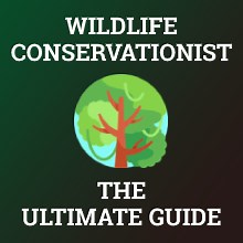 How to Become a Wildlife Conservationist: Career, Salary & Training