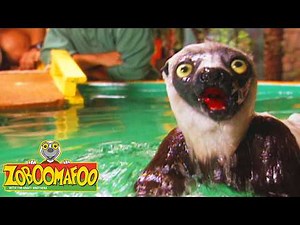 Thirsty Animals! | Zoboomafoo - WildBrain | Learn about Animals!