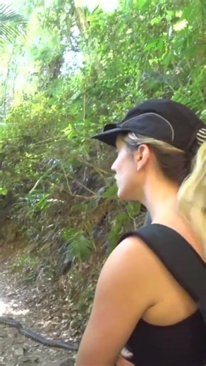 Huge Carpet Python Blocks Path!