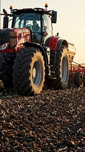 Perfect Moisture Retention 🚜 Steiger 580 Heavy Cultipacker Pass #shorts #farming #agriculture #usa