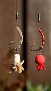 🎣 Which Topper Are You Taking? 👀 Tipping off your hookbaits with a visually stimulating TOPPER 🤩 is a great way to keep those winter ❄️ carp fully engaged. 💪 Here are some brilliant suggestions from our rig-tying maestros in Holland 🇳🇱 @wendystephaniecarpanglers 🔥 Which one are you picking? 🧐 ✅ Bloodworm Tippers 🩸 — look just like the real thing, but with far more resilience! ✅ Revibed Corn Caves 🌽 — better than the real thing! Tougher, longer-lasting, and with a cavity that can be plu