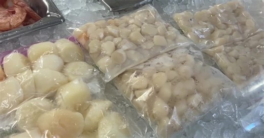 Scalloping drives neighbors to Wakulla County coast; FWC explains the safest way to dive