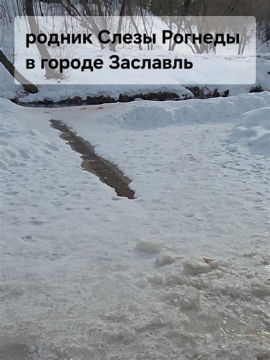 💧 «Слёзы Рогнеды‑2»: родник с тысячелетней историей в Заславле. Вода пресная, а легенда — о княгине и её сыне. 54.00106, 27.29497 (ул. Рабочая, 54, г. Заславль). #родник #заславль #рогнеда #беларусь #история
