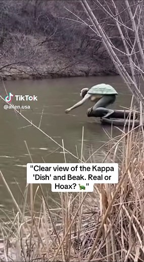 Encounter with a Mysterious Kappa-like Creature