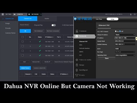 Dahua NVR Online But Camera Not Working