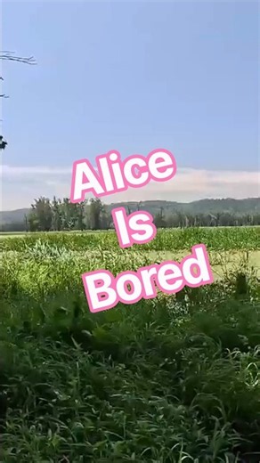 Alice's Adventures in Wonderland by Lewis Carroll - A Classic Story