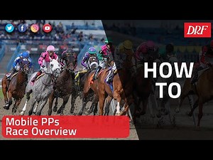 How To | Mobile PPs | Race Overview