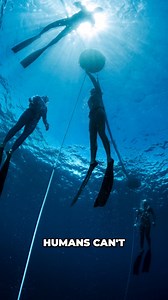 What can the diving capabilities of a Weddell seal teach us about human breath-hold diving physiology? 🦭 Dive into the science with Michael Lang, Ph.D., co-director and research faculty at the UC San Diego Center of Excellence in Diving. Drawing from decades of research in marine science, scientific diving, and dive safety, Lang explores innovation and technology in diving. Watch the full presentation from DEMA Show 2025 here: https://youtu.be/uww5gZZ-7k8 #DiversAlertNetwork #DAN #Scuba #Seal #