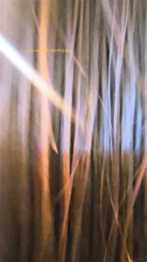 Sweety Takale | Falling for Phi Phi 💦🌴 Nature in its purest flow | Instagram