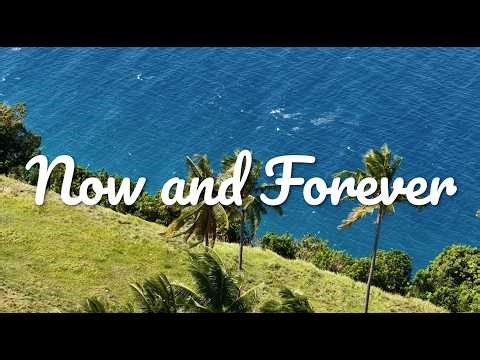 🎧Richard Marx - Now and Forever (Norms Acoustic Cover)