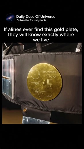 The Voyager 1 Golden record #viral #trending #fyp