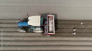 Aerial close up view of tulip farmer tractor sowing flower bulbs into fresh soil with a planter farm implement that sows (plants) seeds in rows throughout a field 4k high resolution quality footage