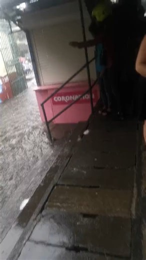 19K views · 398 reactions | Fortes averses : Inondation à Port-Louis | ION News | Facebook