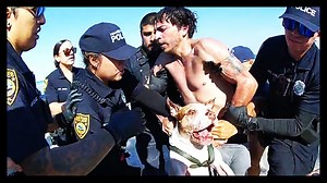 Man Allegedly Tries To DROWN His Own Dog At The Beach?! | The Daily Caller