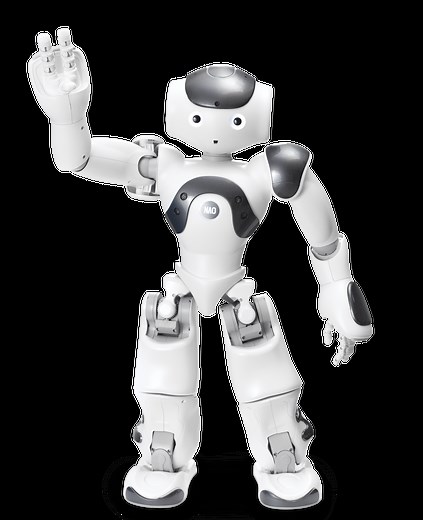 NAO V6 Standard Edition Robot