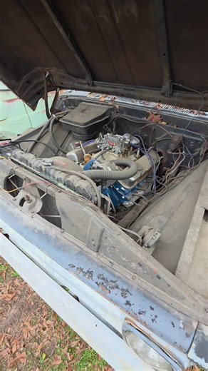 Exploring the C10 Long Bed: A Deeper Insight