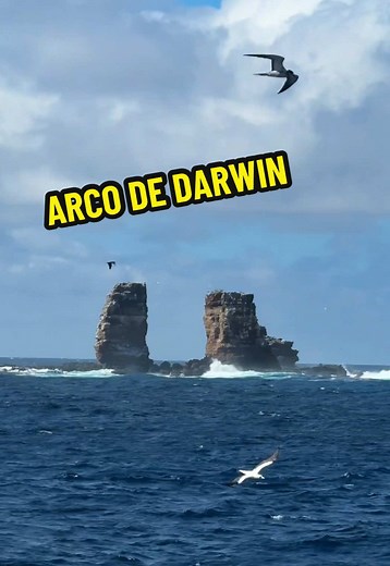 Explorando el Arco de Darwin y los Tiburones Gigantes
