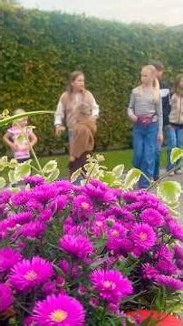 Buying and selling at flea markets