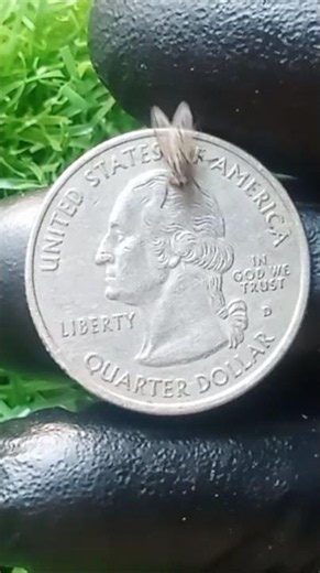 KING of Quarters REVEALED! 4 Ultra Rare State Quarters That Could Change Your Life!