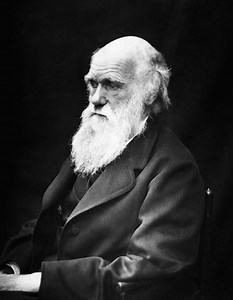 Charles Darwin Day - Twinkl NewsRoom - Twinkl