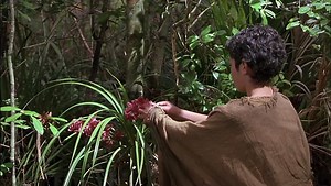 The Legend of Johnny Lingo | movie | 2003 | Official Trailer
