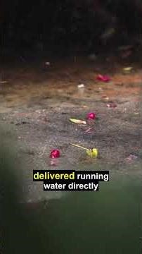 Ancient Romans Had Better Plumbing Than Your Apartment (Here's Why)