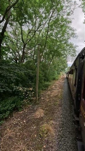 Steam Locomotive at speed #steamengine #railwaycontent #travel #steamlocomotive #train #railtrack