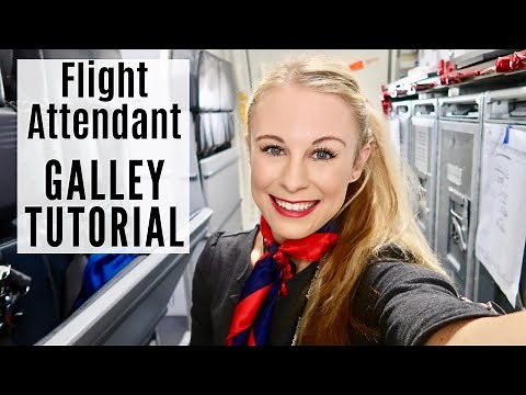Boeing 737 GALLEY TUTORIAL! Domestic Flight (Flight Attendant Life, 2019)