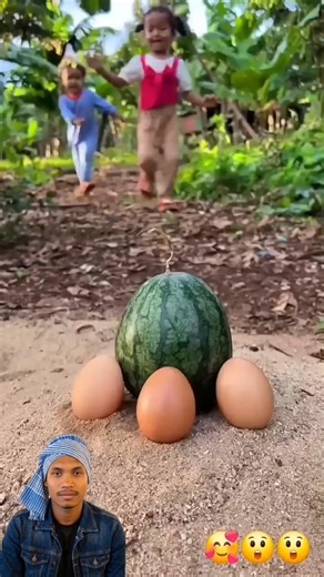Wow, what beautiful eggs and watermelons.#shorts #viralshorts