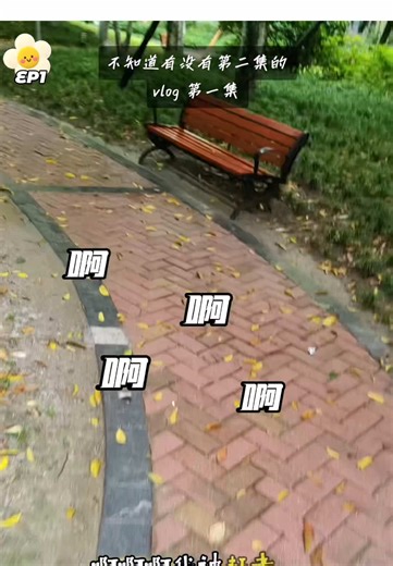 今日 vlog 之大馋猪散步偶遇突袭雨之攻击只得先行撤退 #vlog #chinatiktok #china #chinese