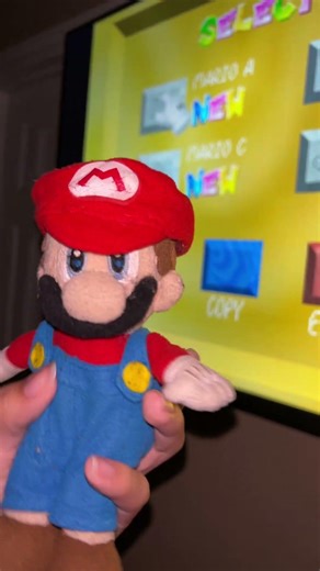 Deleted Save File #nintendo #mario #fyp #viral