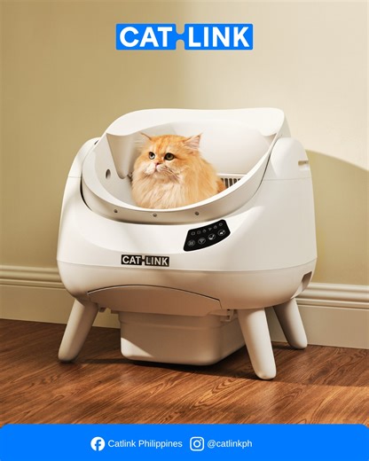 60K views · 586 reactions | The wait is over — meet the CATLINK Open X!  Made for big cats, loved by all. With an open design that feels natural, cats settle in within minutes. #Catlink #CatlinkPhilippines #OpenX #SmartPetCare #CatParents #CatHealth #PetTechnology #PetGadgets | Catlink Philippines | Facebook