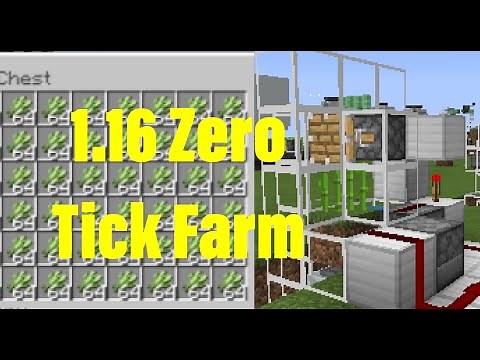 How to Build a *0 TICK* Sugarcane Farm in Minecraft *1.16* - Nether Update