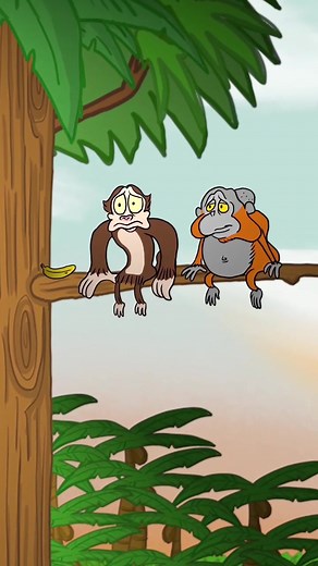 Funny Skit: Monkey C, Monkey P, Monkey Poo!
