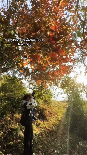 trên bản cũng vui màa #xh #viral #m58thudo #fyp #chillwithme